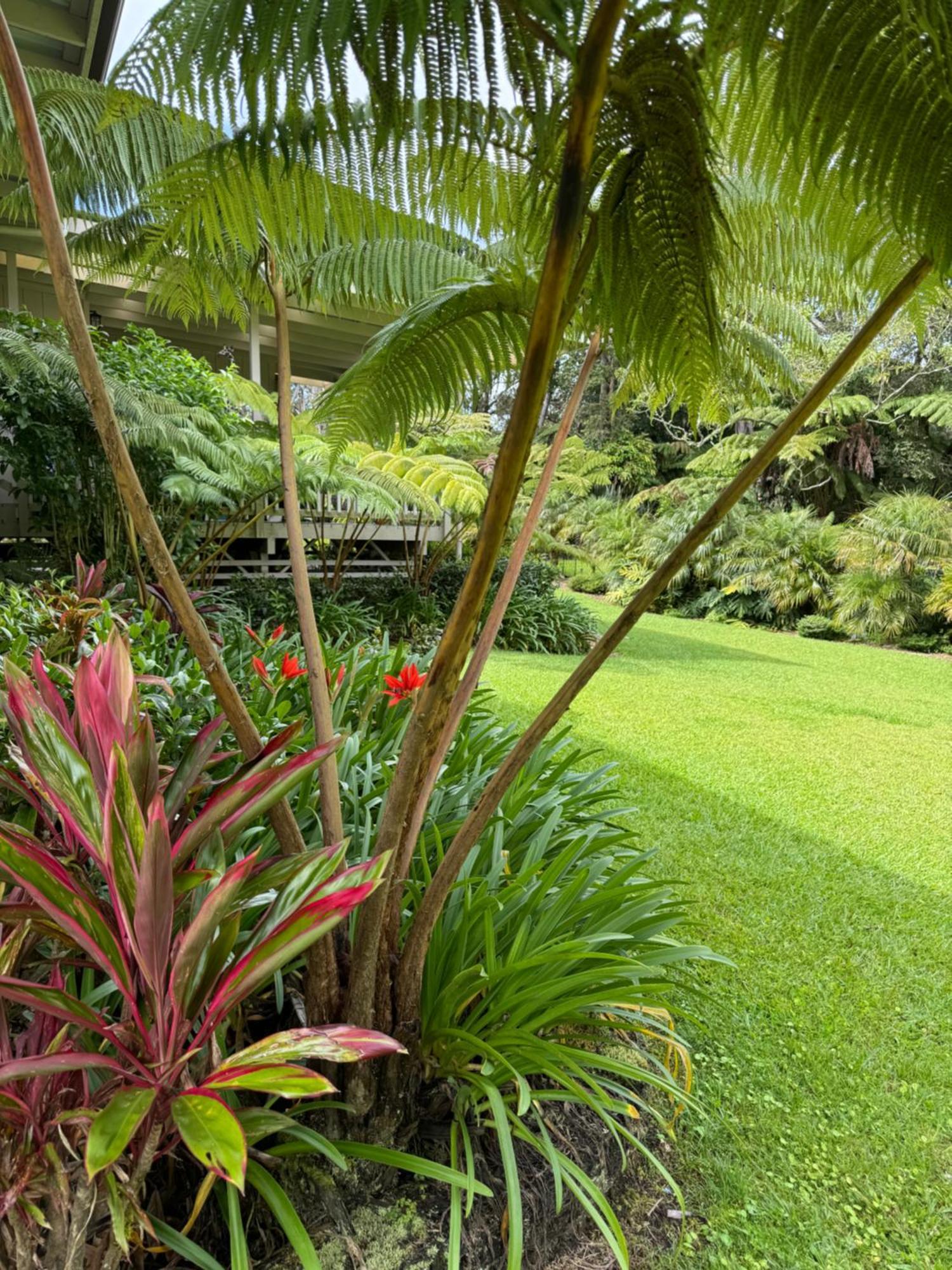 Aloha Junction Bed And Breakfast -Minutes Away From Hawaii Volcanoes National Park Exterior photo